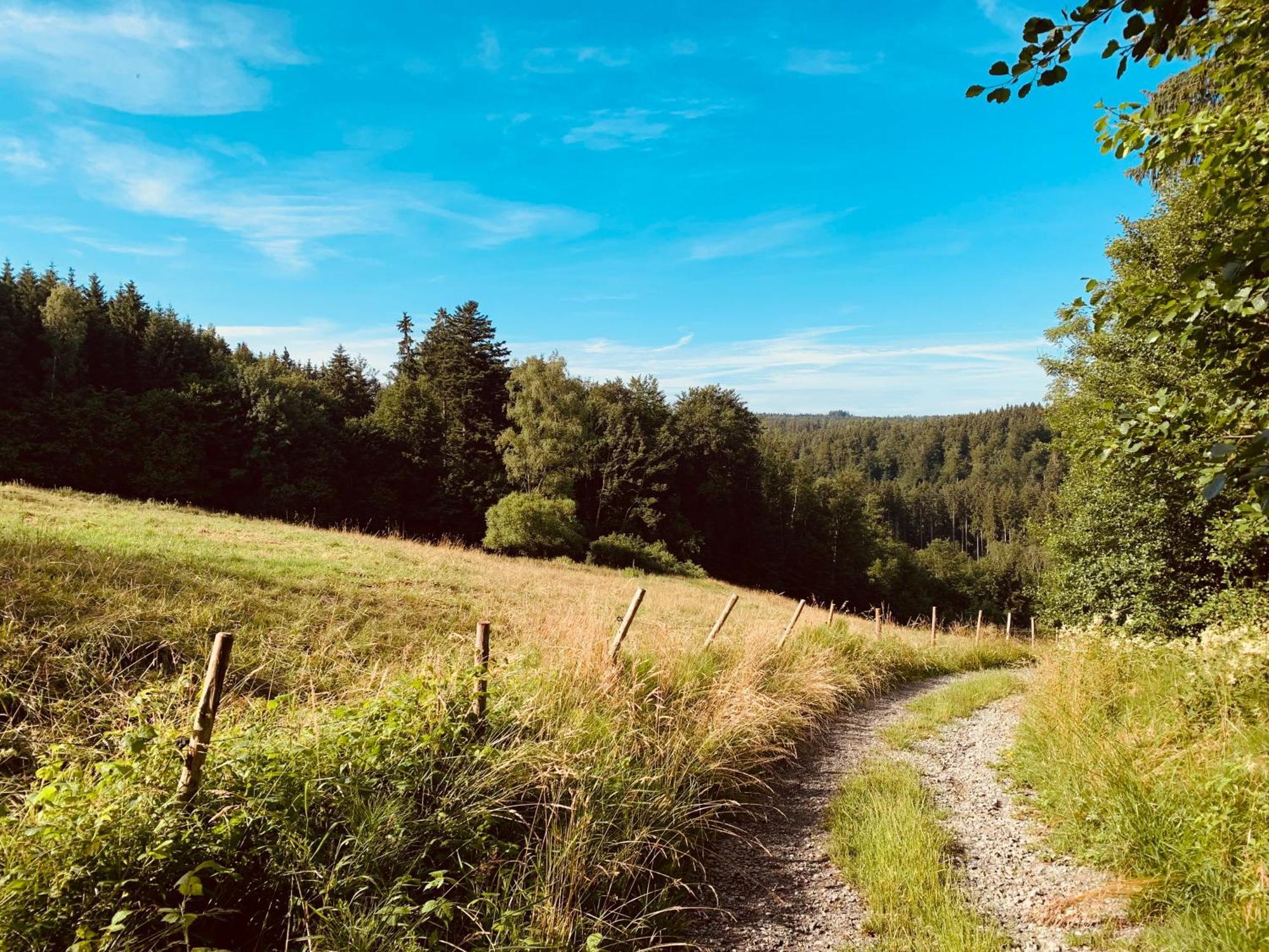 Hjem - Tiny Homes Direkt Am Wald Zwischen Allgaeu & Bodensee Bergatreute Kültér fotó